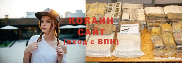 амф Горняк