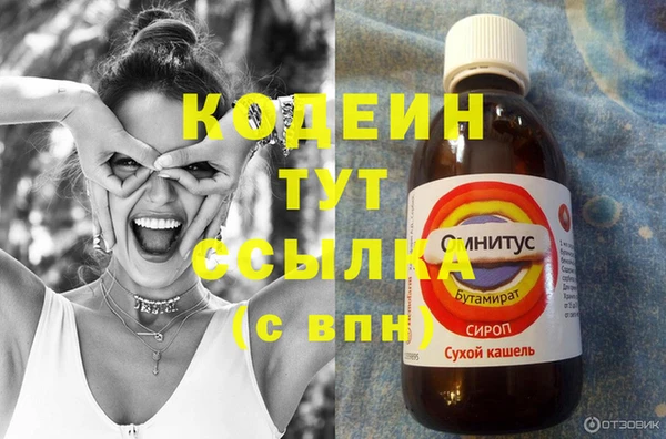 амф Горняк