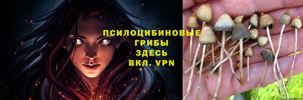 дживик Дмитриев