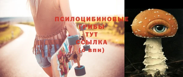 амф Семилуки