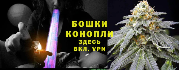 молекула духа Горнозаводск