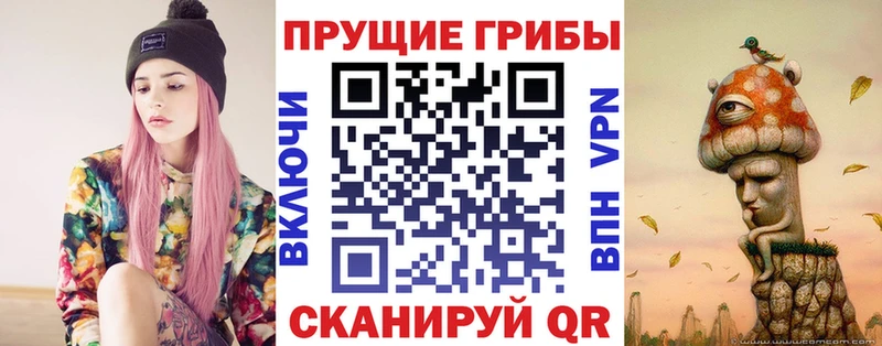 купить   Дивногорск  Галлюциногенные грибы Psilocybine cubensis 
