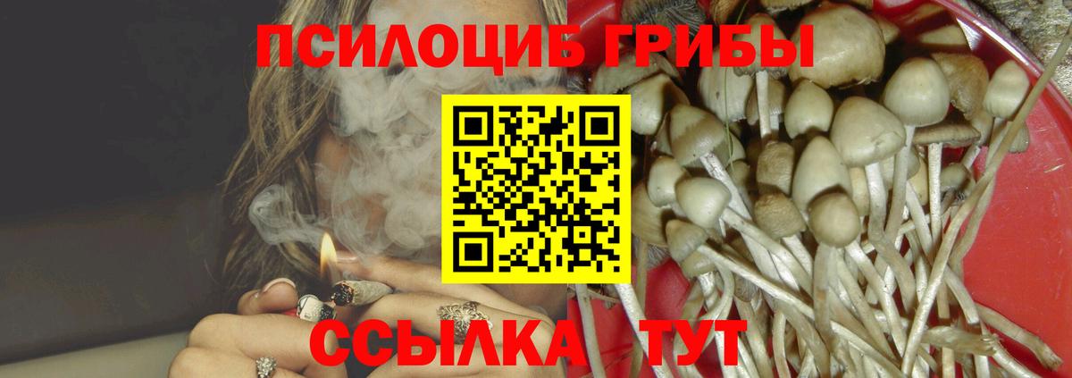 купить наркоту  Вход с VPN  Дивногорск  Галлюциногенные грибы Psilocybe 