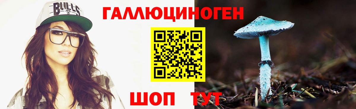 Галлюциногенные грибы Psilocybe Дивногорск